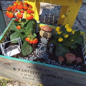 Meet your Posher, Zoe