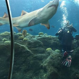 Meet your Posher, Steven