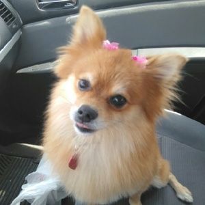 Meet your Posher, Kaitlynn