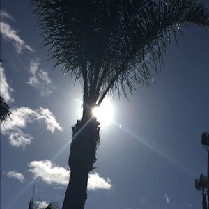 Meet your Posher, Mitzy