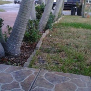 Meet your Posher, Shillene