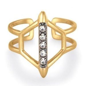 Stella & Dot Terra Ring