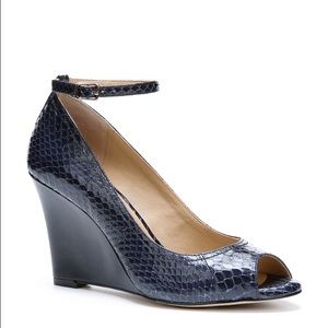 Ann Taylor Bailey wedge shoes in modern blue