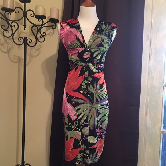 Classic Cache' NWT Flattering Dress size 4