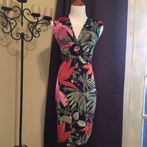 Classic Cache' NWT Flattering Dress size 4