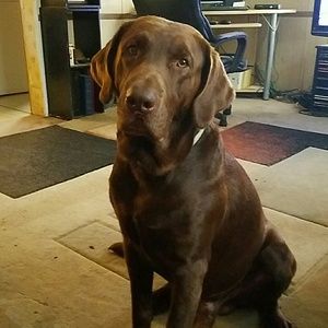 Meet your Posher, Karla