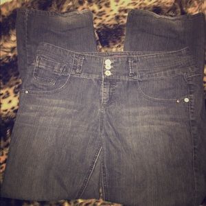 Torrid Flare Jeans
