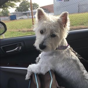 Meet your Posher, Brooke