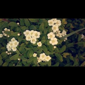 Meet your Posher, Maddie