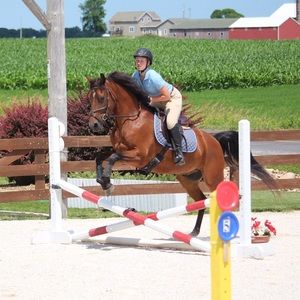 Meet your Posher, Maddie