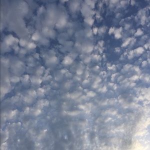 Meet your Posher, Caitlyn