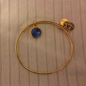 Alex&Ani sapphire stone bangle