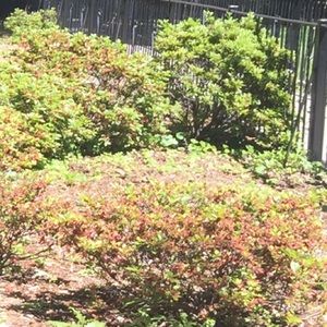 Meet your Posher, Lana