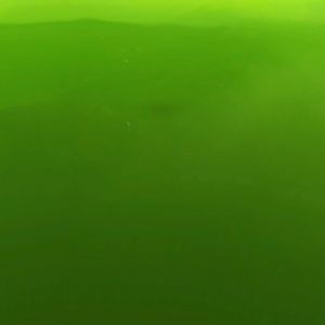 Meet your Posher, Karina