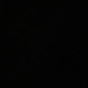 Meet your Posher, Rosy