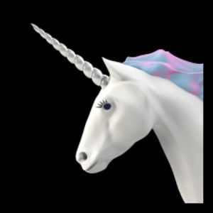 Meet your Posher, Lorena