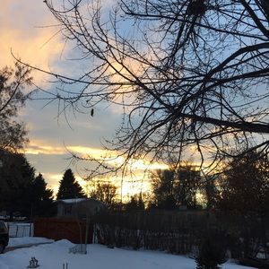 Meet your Posher, Anahi