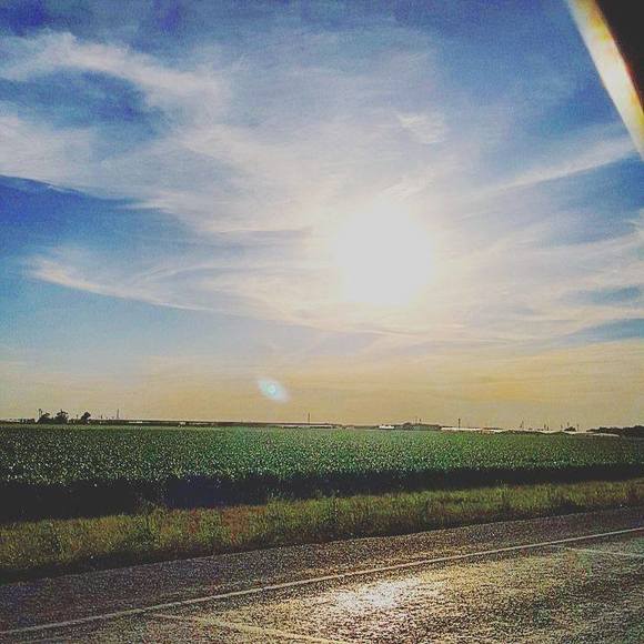 Meet your Posher, Cassie