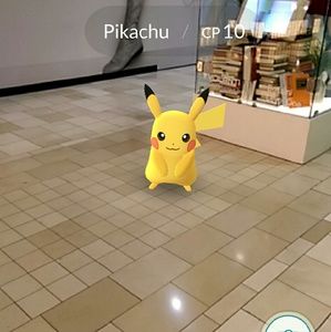 Meet your Posher, Sylvia