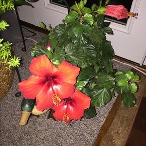 Meet your Posher, Kathie