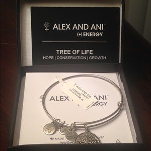 Alex and Ani (+) Energy bracelet. New.