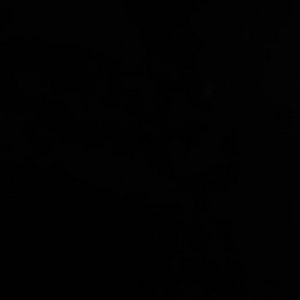 Meet your Posher, Awa