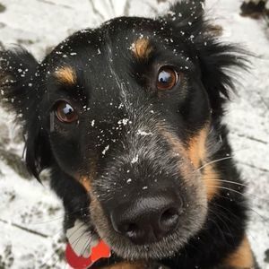 Meet your Posher, Jenny