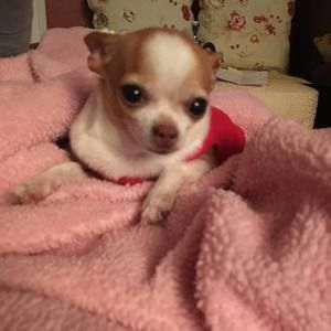 Meet your Posher, Lucia