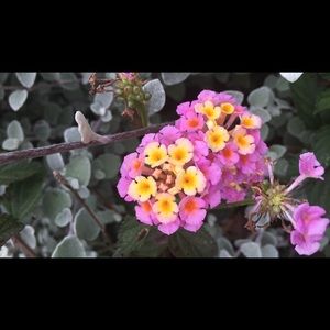 Meet your Posher, Mandi