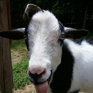 Meet your Posher, Karen