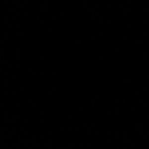 Meet your Posher, Ariel