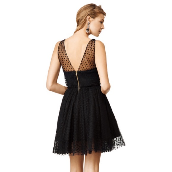 **SEEKING** - Picture 2 of 2