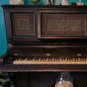 Meet your Posher, Tamara