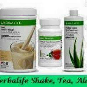 Meet your Posher, Matilda