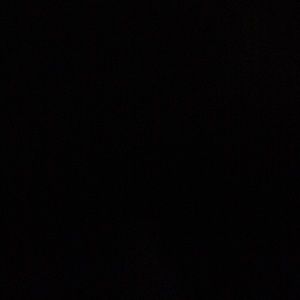 Meet your Posher, Stevie