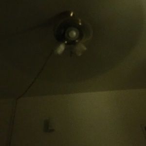 Meet your Posher, Lizbeth