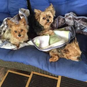 Meet your Posher, Sharon kay