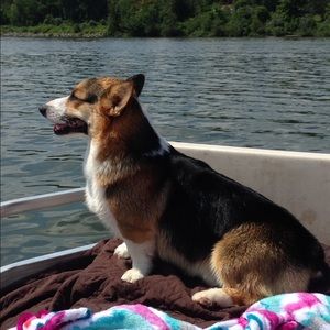 Meet your Posher, Connie