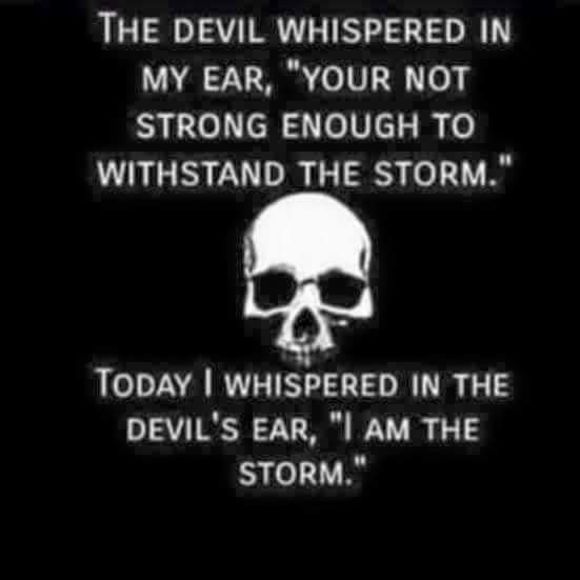 Meet your Posher, Susi - Picture 1 of 1