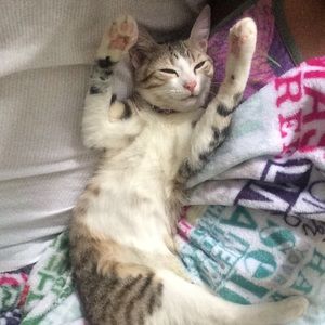 Meet your Posher, Michelle