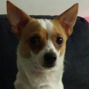 Meet your Posher, Valerie