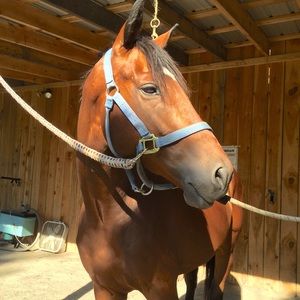 Meet your Posher, Cheri