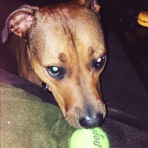 Meet your Posher, Julie