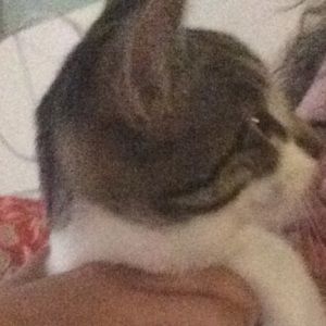 Meet your Posher, Grace