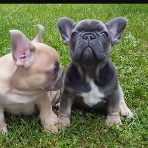 Meet your Posher, Roberta