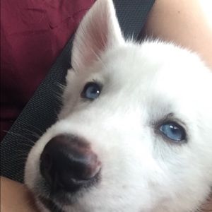 Meet your Posher, Paula