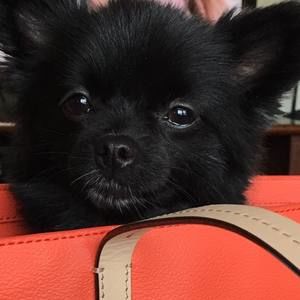 Meet your Posher, Mindy