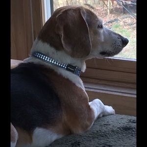 Meet your Posher, Marcia