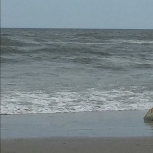 Meet your Posher, Trish