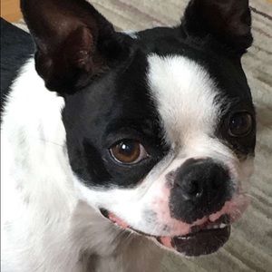 Meet your Posher, Ky